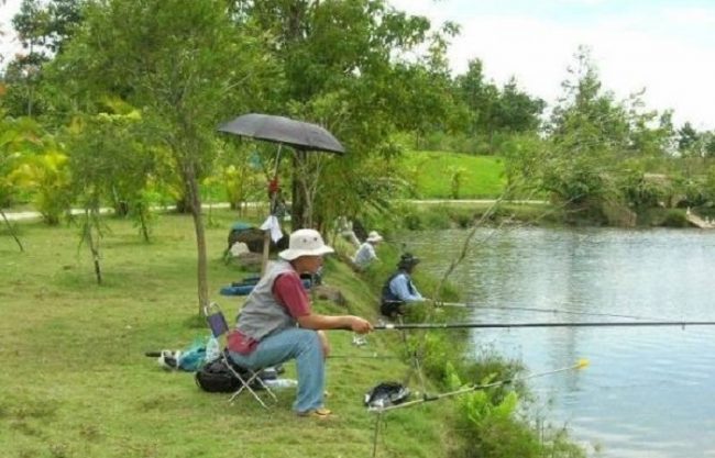 mo thay cau ca danh con gi